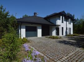 Modern villa with sauna right next to the lake, holiday rental in Borne Sulinowo