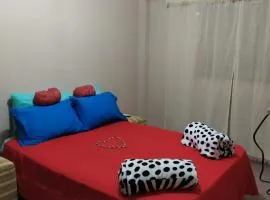 Departamento centrico en Posadas, garage opcional D1