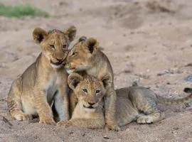 Tintswalo Safari