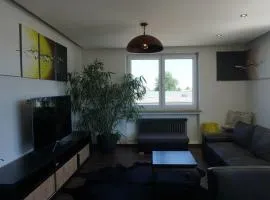 Apartments- stilvolles 95 qm mit Balkon und Parkplatz