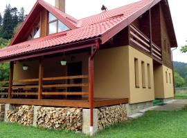 Гостьовий дім Tauer, Hotel in Tatariw