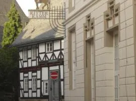 Galeriewohnung Ritter Ramm, Altstadtjuwel mit kostenlosem Parkplatz und Kamin