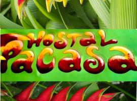 PaCasa Hostel, hotel near Enrique Malek International Airport - DAV, 