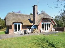 Holiday Home Vestermarken Blåvand Iv