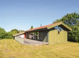 4 Bedroom Pet Friendly Home In Fjerritslev