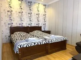 Borjomi Apartment Lia