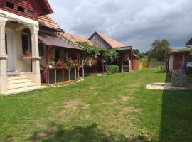 Casa Argentina, holiday home in Cîrţişoara