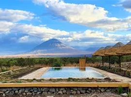Africa Safari Lake Natron