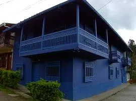 CASA AZUL Jardín