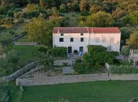 Vacation House Viskic