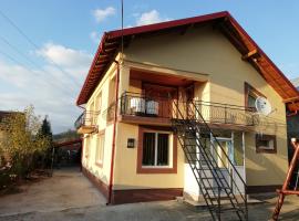 Casa Lidia și Gogu, holiday rental in Budeasa Mare
