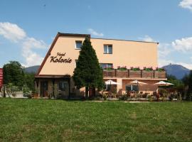 Hotel Kolonie: Frýdlant nad Ostravicí şehrinde bir otel