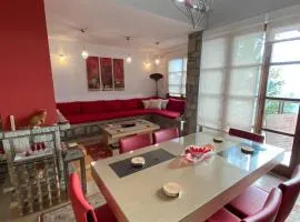 Arachova Vip smart chalet-Villa Eva 1