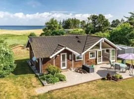 Holiday Home Vollerup Havvej