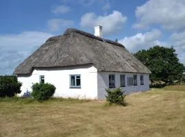 Holiday Home Nørre Nebel 21