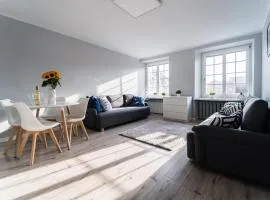 Apart Market Square - Rynek 44 - Opposit Town Hall - 3 Rooms