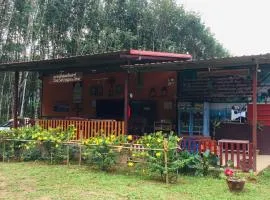 Khao Sok Evergreen House