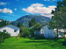 Apartman Zorana