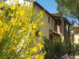 Agriturismo La Ginestrella