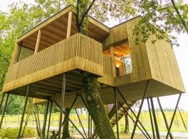 Cabañas Enoturismo María Manuela
