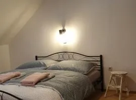 Apartment Barje I