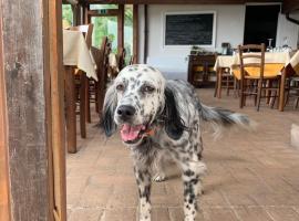 SetterHouseAgriHotel, hotel v destinaci Trevi