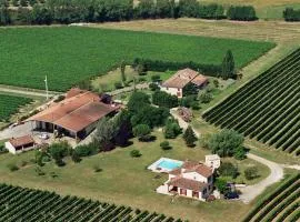 Maisonnette au coeur d'un vignoble