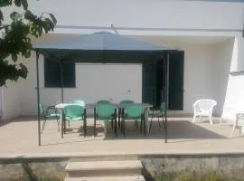 Trilocale con doppio giardino 9