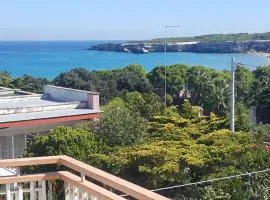 Torre dell'orso centralissima vista mare