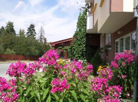 Guest House Zodiac, bed & breakfast στο Σάμοκοβ