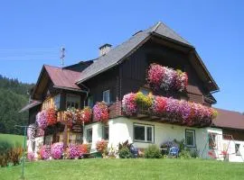 Bauernhof Haim-Schnepfleitner