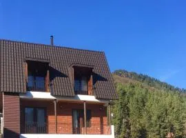 Shumeri