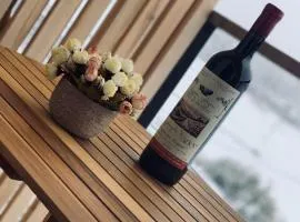 Bakuriani Plaza A317