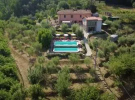 Luxury Villa in Tuscany - Casa di Nonnas