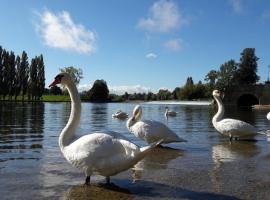 APARTMAN NENA، مكان إقامة مع الخدمة الذاتية لإعداد الطعام في كارلوفاتش