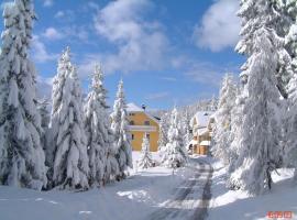 Kraftplatz Katschberg - Martina Aigner, hotel v destinaci Katschberghöhe