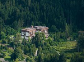 Alpenhotel Weitlanbrunn: Sillian şehrinde bir otel