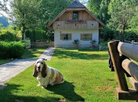 Vila Jana, hotel blizu znamenitosti igrišče za minigolf Adventure Mini Golf Panorama, Radovljica