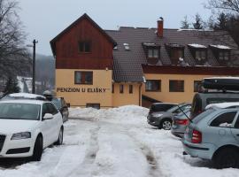 Penzion U Elišky Bedřichov V Jizerských Horách, Hotel in Bedřichov