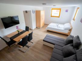 PJagodic Apartments & Wellness, serviced apartment in Cerklje na Gorenjskem