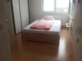 Appartement Altstadt Mainz