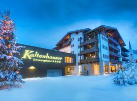 Das gemütliche Dorfhotel Kaltenhauser, hotel in Hollersbach im Pinzgau