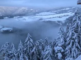 Forchnerhof Panorama- Rienzschlucht