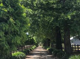 Oak Lane Guest House & Farm Stay, habitación en casa particular en Whorouly