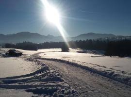 Ammergauer Vier Jahreszeiten, hotel in Bad Kohlgrub