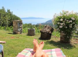 Sea View Apartment with Garden near Opatija, apartment in Veprinac