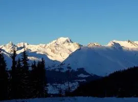 Bourg St Maurice les Arcs 1800 Les Lauzieres jolie vue, nature, espace, bien être, plaisir, paisible