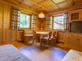 Home in the Alps