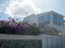 Playa de Las Americas Luxury Home