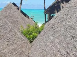 Organic Roots Villa